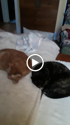 Hardware Store «Harbor Freight Tools», reviews and photos, 246 N West End Blvd, Quakertown, PA 18951, USA