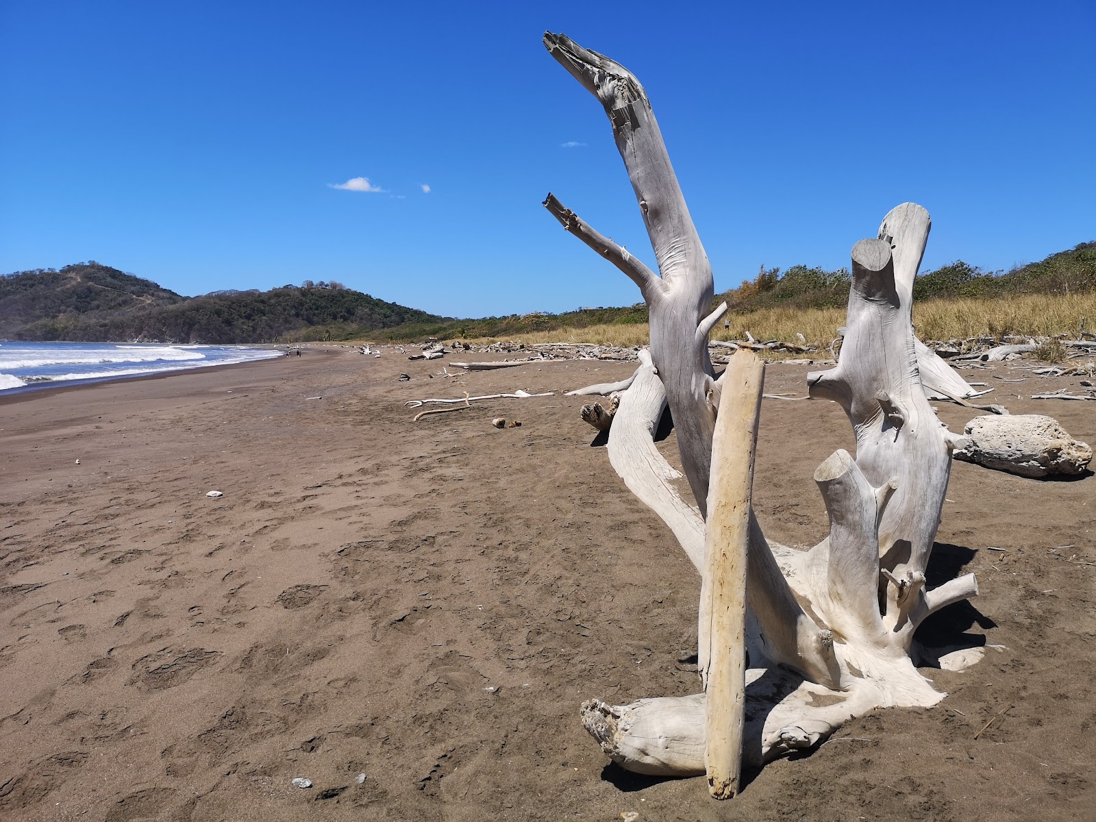 Camaronal Beach'in fotoğrafı vahşi alan