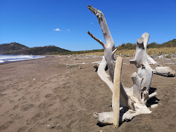 Camaronal Beach'in fotoğrafı vahşi alan