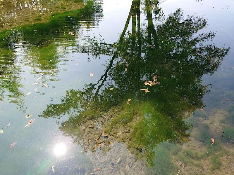 ハリヨの池