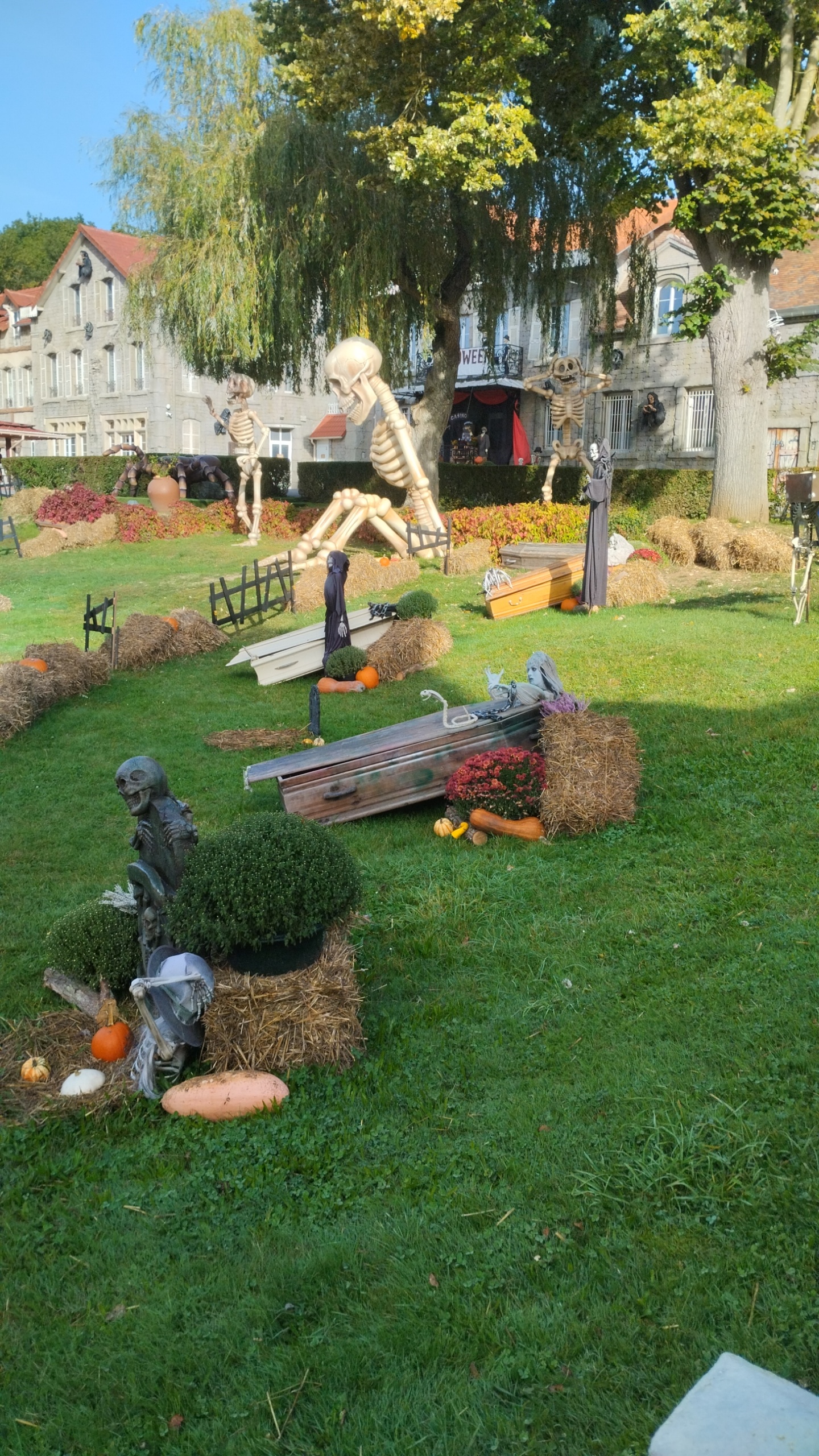 Photo n° 11 de l'avis de Monique.e fait le 06/10/2018 à 09:14
