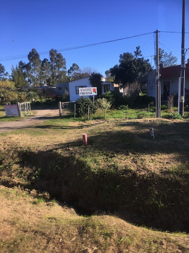 Opiniones de Vivero Parousía en Trinidad - Centro de jardinería