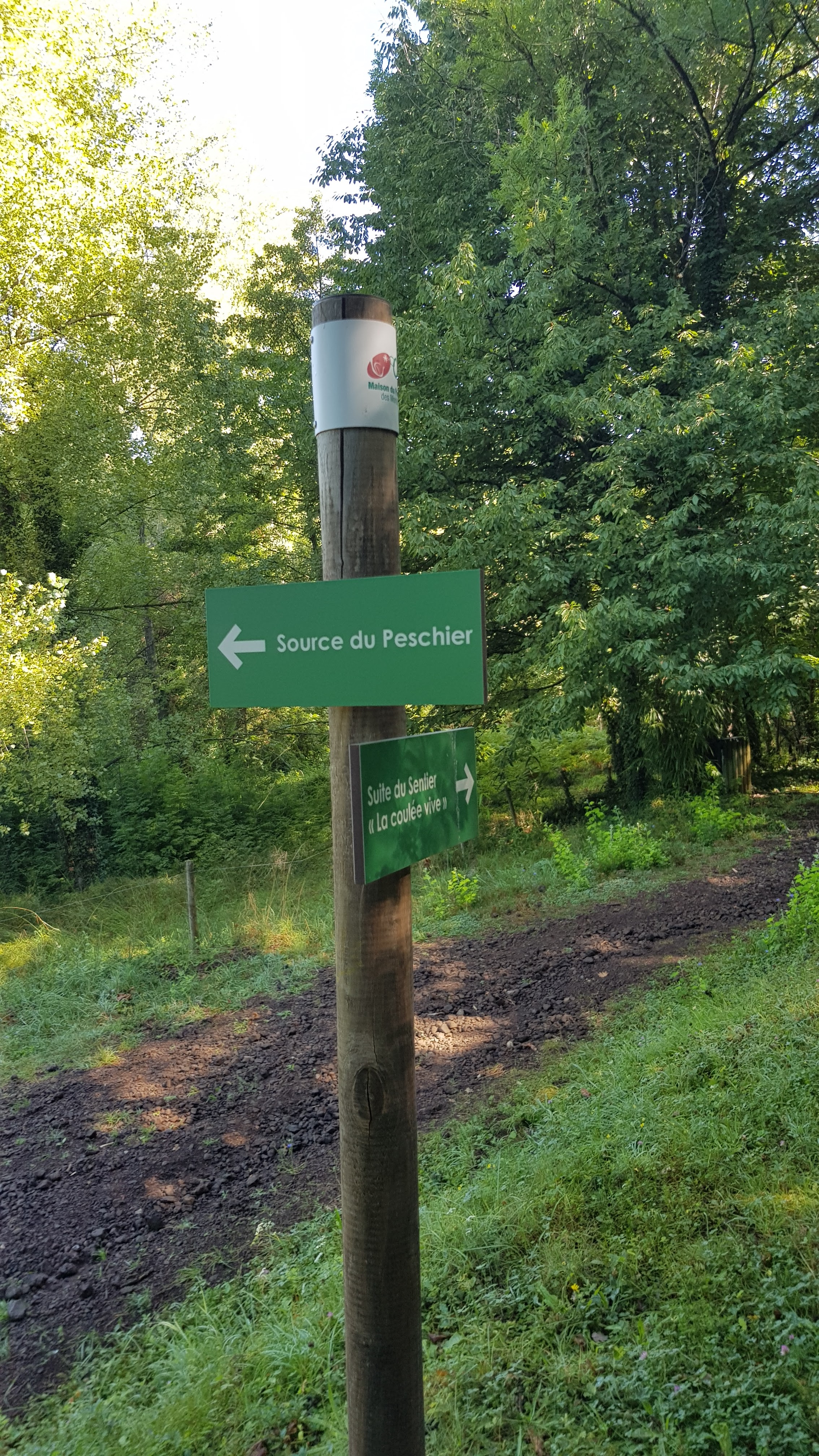 Photo n° 6 de l'avis de F. fait le 17/08/2020 à 14:02