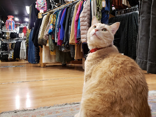 Used Clothing Store «iconoCLAD», reviews and photos, 414 300 S, Salt Lake City, UT 84111, USA