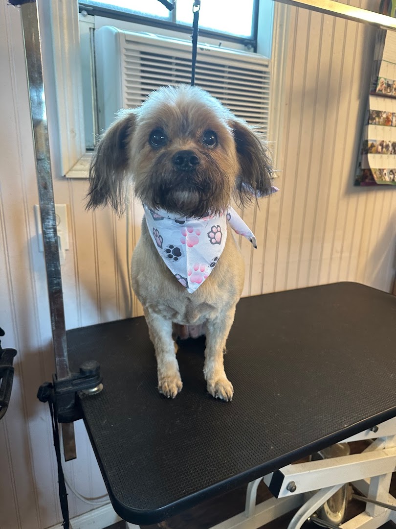 Dog House Grooming LLC