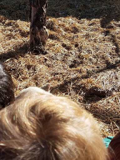 Produce Market «Berry Patch Farms», reviews and photos, 13785 Potomac St, Brighton, CO 80601, USA