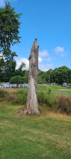 Golf Course «Pinch Brook Golf Course», reviews and photos, 234 S Ridgedale Ave, Florham Park, NJ 07932, USA