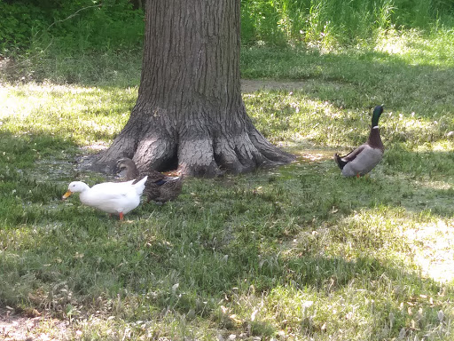 Park «Labo Park», reviews and photos, 22215 S Huron River Dr, Rockwood, MI 48173, USA