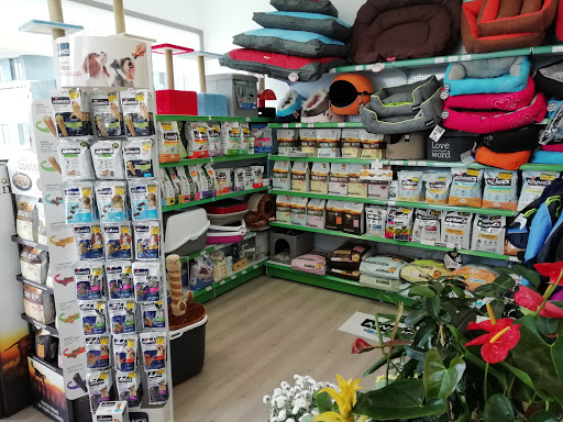 La Tienda de Alf - Lugo