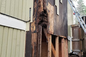 Rot Repair Master - Deck Builder,