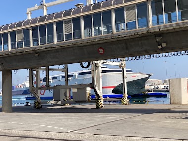 Trasmediterranea