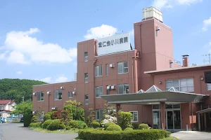 Kohjnkai Ogawa Hospital image
