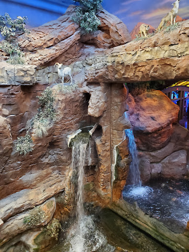 Sporting Goods Store «Bass Pro Shops», reviews and photos, 8200 Dean Martin Dr, Las Vegas, NV 89139, USA