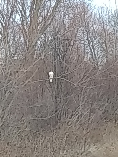 Beauty Salon «Top Styles Beauty Salon», reviews and photos, 5900 IL-159, Fairview Heights, IL 62208, USA