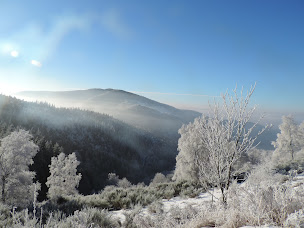 Photo n°13 de Auberge La Sapinière à Goldbach-Altenbach ()