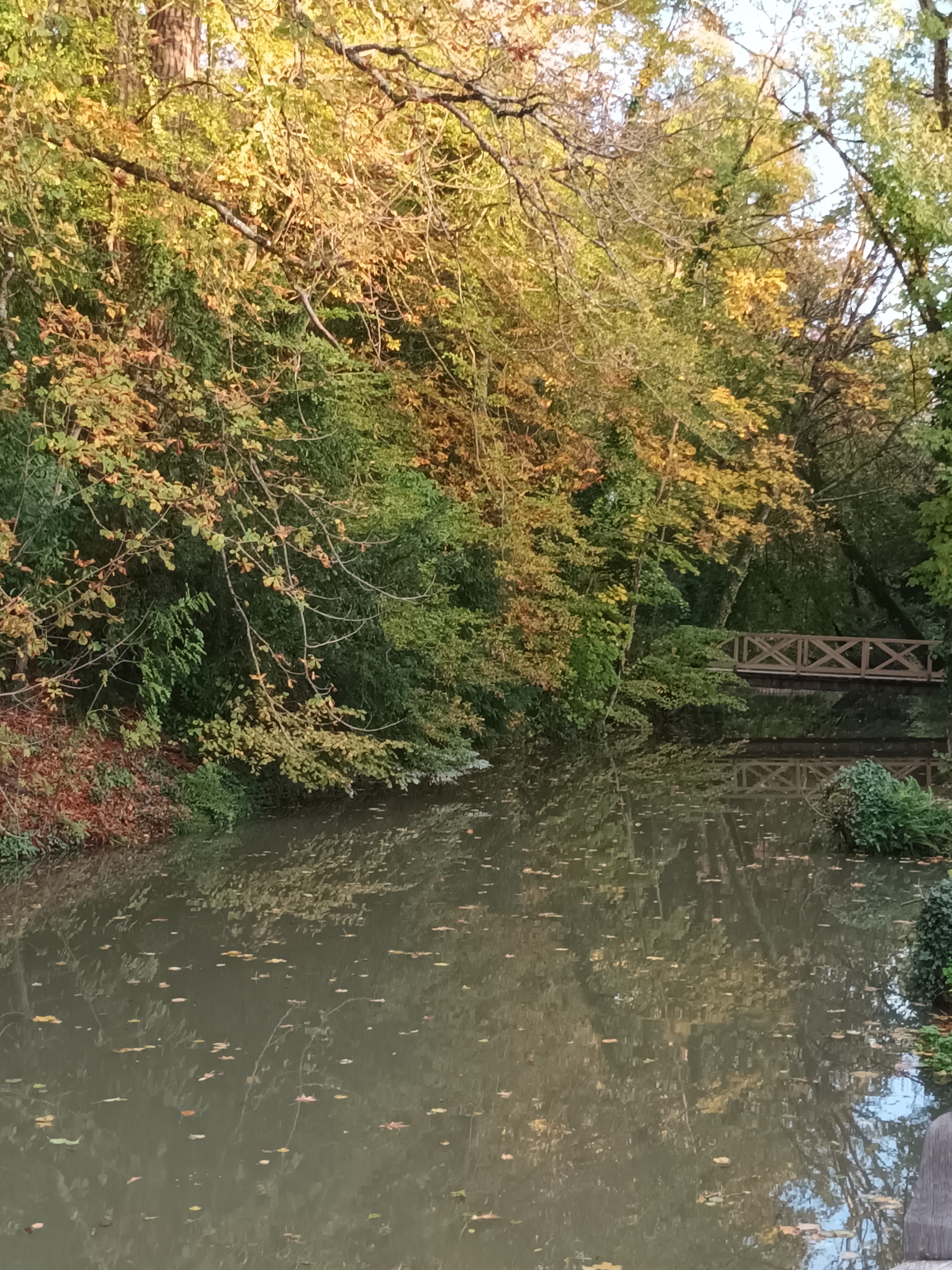 Photo n° 3 de l'avis de damien.r fait le 03/11/2023 à 08:00