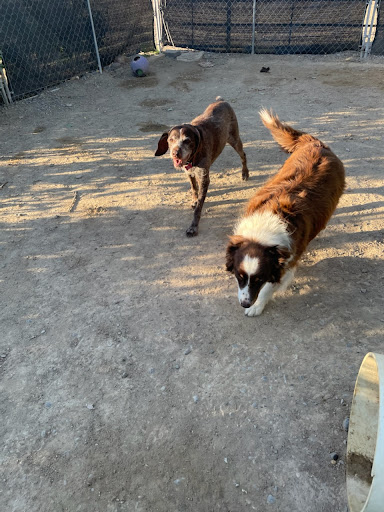 Serenity Boarding and Stables