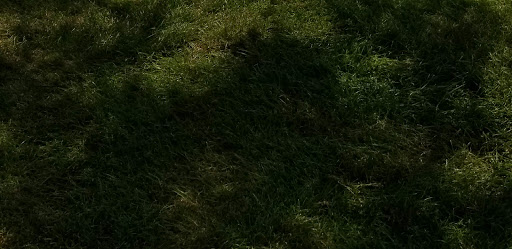 Park «Forge Pond Park», reviews and photos, 245 King St, Hanover, MA 02339, USA