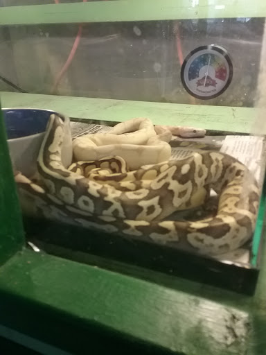 Pet Store «Critter Castle», reviews and photos, 1461 Boiling Springs Rd, Spartanburg, SC 29303, USA