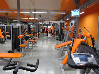 BIG ONE FITNESS - Václavská 237/6, 603 00 Brno-střed-Staré Brno, Czechia