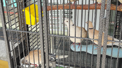 Pet Store «Critters & Co Pet Center», reviews and photos, 11042 WA-525, Clinton, WA 98236, USA