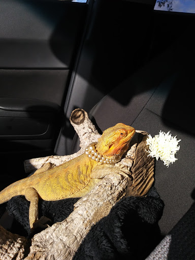 Golf Shop «Loxahatchee Club-Golf Shop», reviews and photos, 1350 Echo Dr, Jupiter, FL 33458, USA