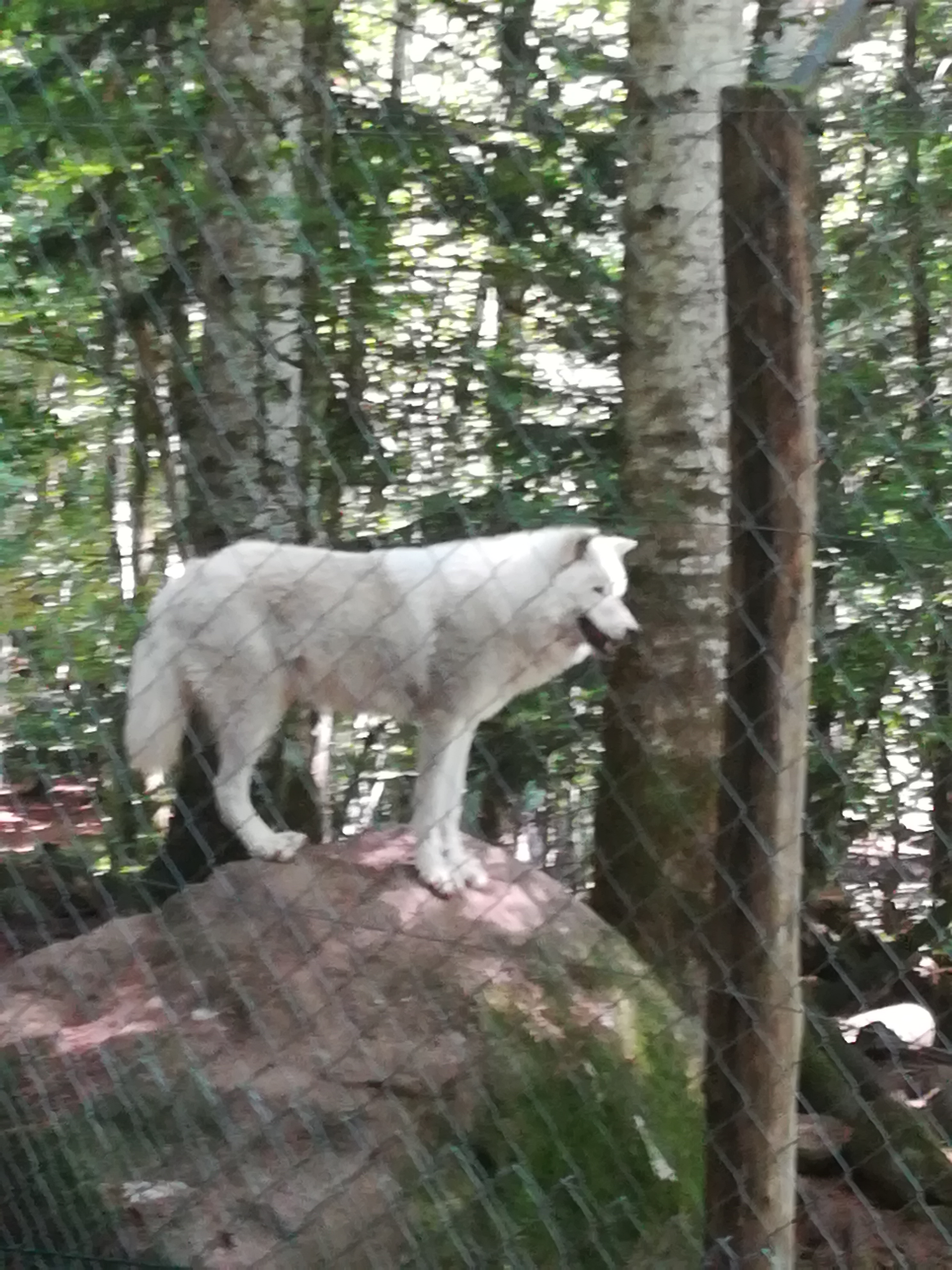 Photo n° 10 de l'avis de Audrey.� fait le 28/07/2017 à 17:11