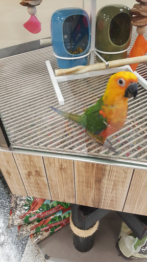 Pet Supply Store «Petco Animal Supplies», reviews and photos, 513 S Mason Rd, Katy, TX 77450, USA