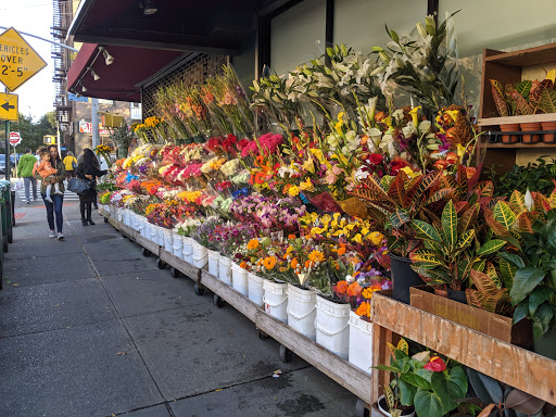 Grocery Store «Natural Market», reviews and photos, 7256 Austin St, Flushing, NY 11375, USA