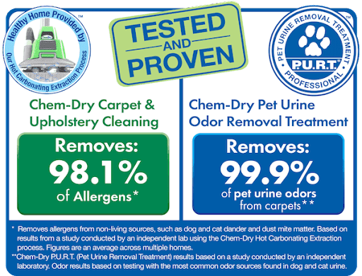 Carpet Cleaning Service «Clean Living Chem-Dry», reviews and photos, 17 Fontana Ct, Novato, CA 94945, USA