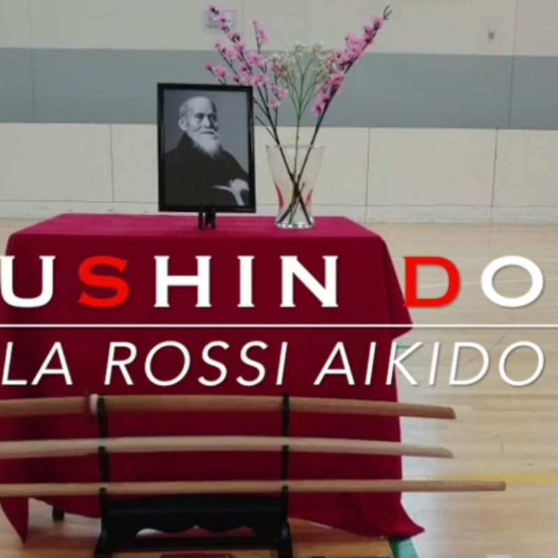 Nicola Rossi Aikido Club- JyuShin Reggio