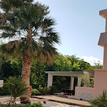 Photo n°1 de l'avis de Mariarosa.o fait le 10/06/2022 à 19:57 sur le  Hotel dei Coralli à Campo nell'Elba