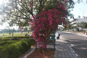 Somo city park image