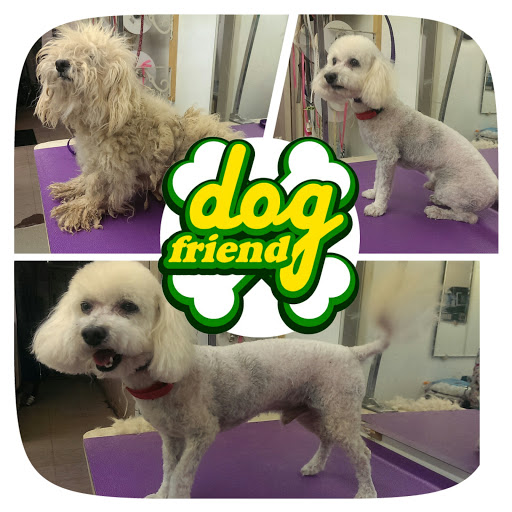 Bowzer's Body Shop Pet Grooming