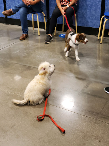 Pet Supply Store «PetSmart», reviews and photos, 16257 N Scottsdale Rd, Scottsdale, AZ 85254, USA