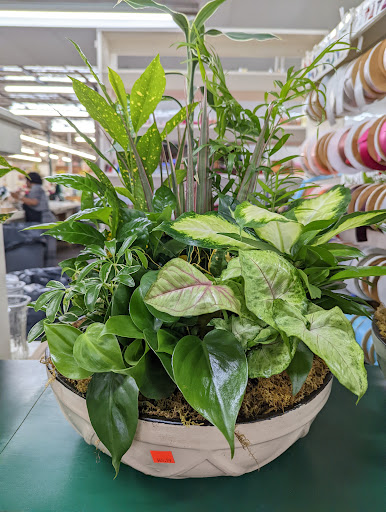 Florist «Norfolk Wholesale Floral», reviews and photos, 601 E Brambleton Ave, Norfolk, VA 23510, USA