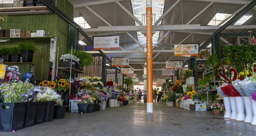 Wholesale florist Pasadena