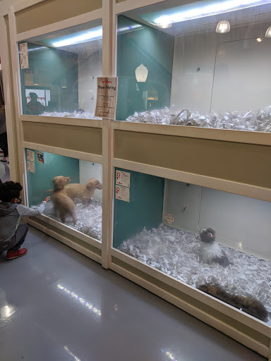 Pet Store «Pet Express», reviews and photos, 250 Granite St, Braintree, MA 02184, USA