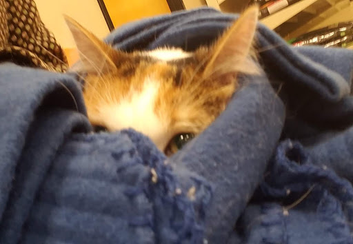 Pet Supply Store «PetSmart», reviews and photos, 114 Commerce Way, Woburn, MA 01801, USA