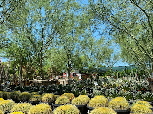 Garden Center «Moon Valley Nurseries West Valley / Avondale», reviews and photos, 11320 W Indian School Rd, Avondale, AZ 85323, USA