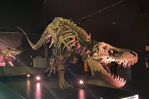 Aragones Museum of Paleontology image