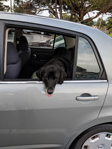 Grocery Store «Safeway», reviews and photos, 30 Chestnut Ave, South San Francisco, CA 94080, USA