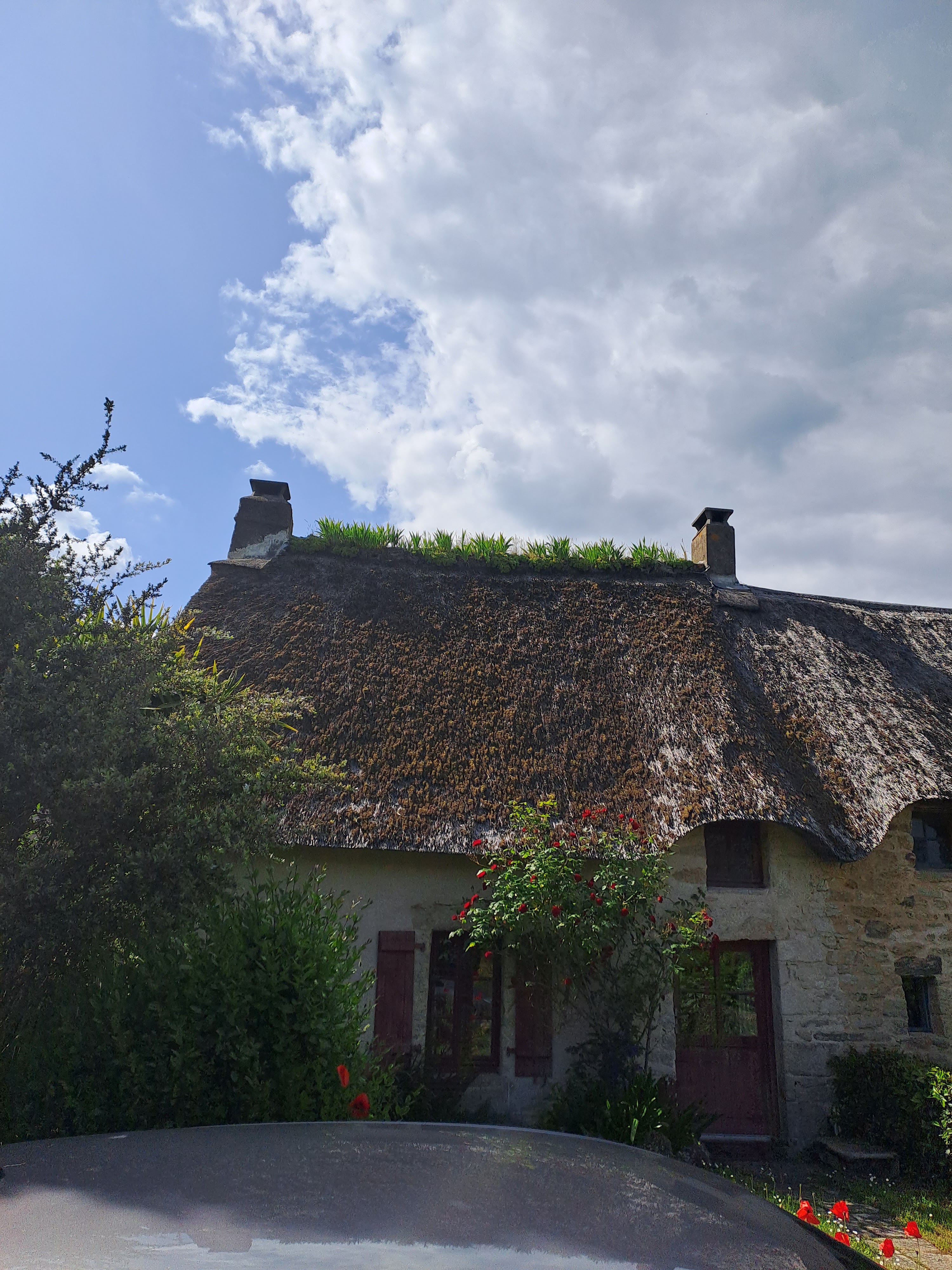 Photo n° 1 de l'avis de ELIDOC. fait le 19/05/2023 à 21:23