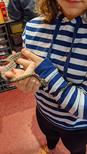 Pet Store «Pet Paradise», reviews and photos, 307 Kellam Rd, Virginia Beach, VA 23462, USA