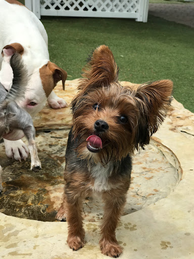 Pet Store «Happy, Clean and Smart», reviews and photos, 5700 W Kilgore Ave, Muncie, IN 47304, USA