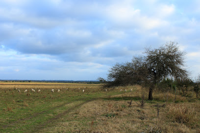 Asociación de ecologistas