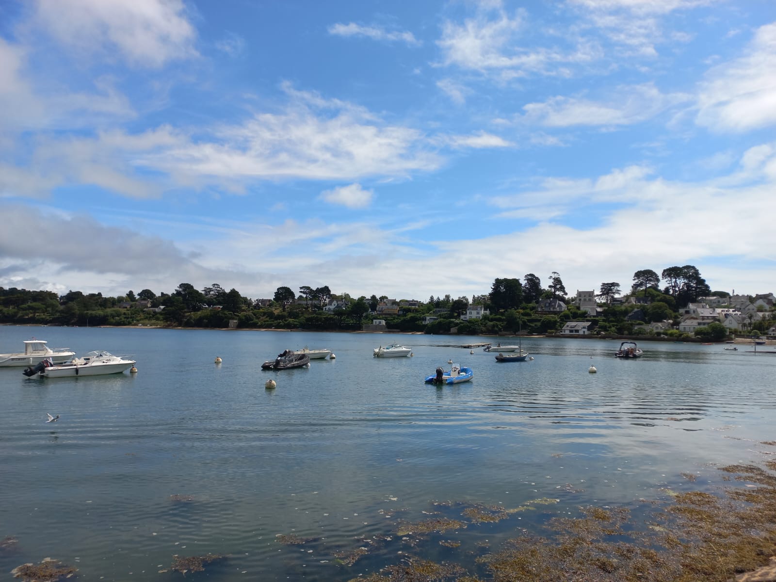 Photo n° 1 de l'avis de Sebastien.o fait le 28/07/2023 à 20:30