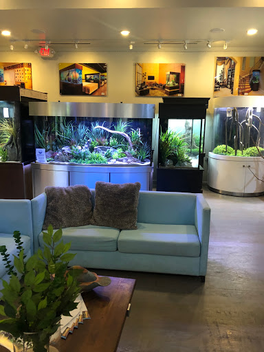 Tropical Fish Store «Fish Gallery», reviews and photos, 2909 Fountain View Dr, Houston, TX 77057, USA