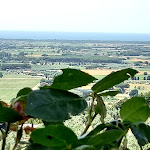 Photo n°5 de l'avis de Miriam55.i fait le 18/06/2021 à 15:15 sur le  Agriristoro La Cesarina à Castagneto Carducci