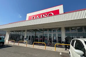 The DAISO image